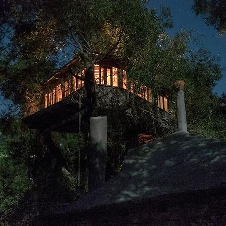 Paramonas  Margaritis'S Treehouseヴィラ エクステリア 写真