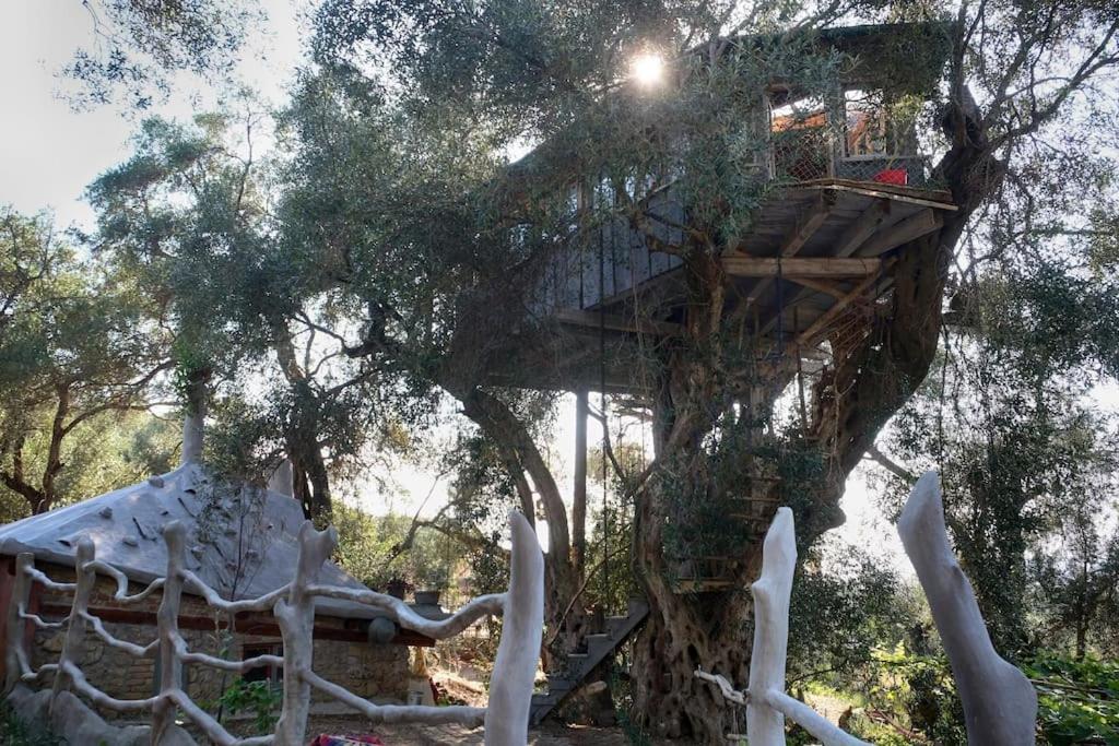 Paramonas  Margaritis'S Treehouseヴィラ エクステリア 写真