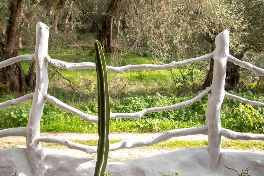Paramonas  Margaritis'S Treehouseヴィラ エクステリア 写真