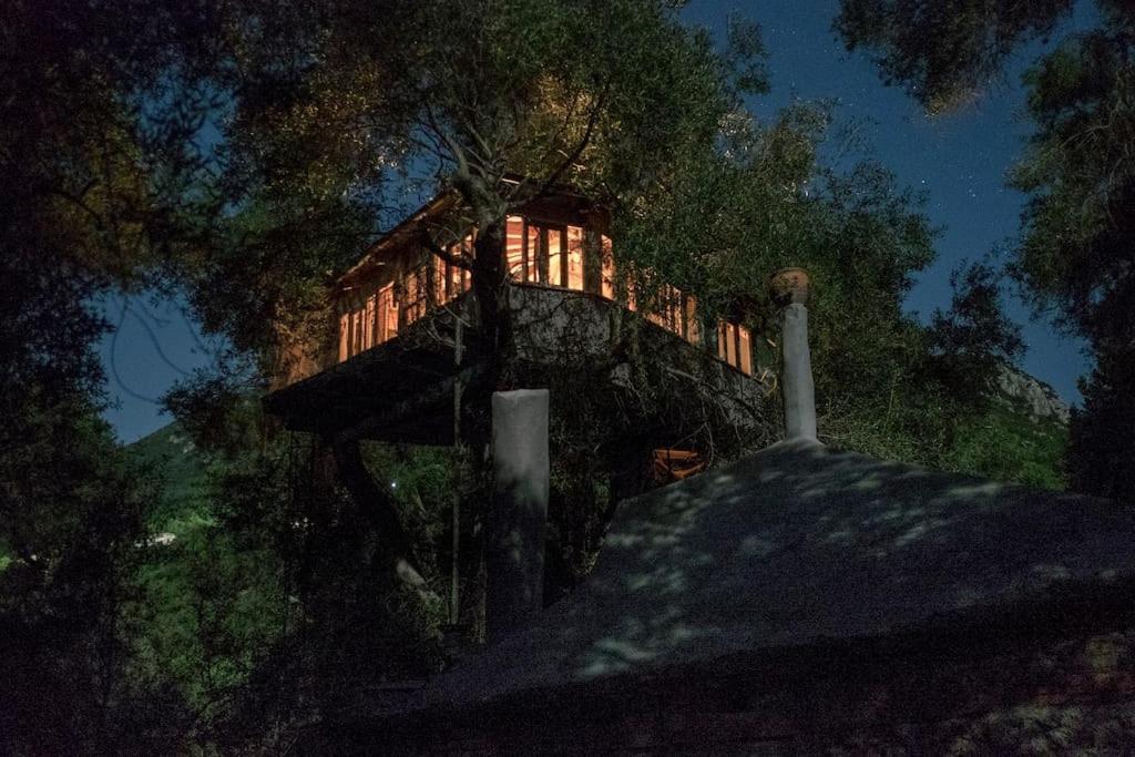Paramonas  Margaritis'S Treehouseヴィラ エクステリア 写真