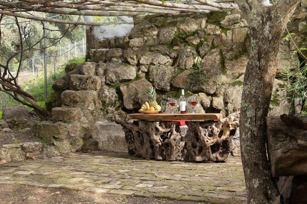 Paramonas  Margaritis'S Treehouseヴィラ エクステリア 写真