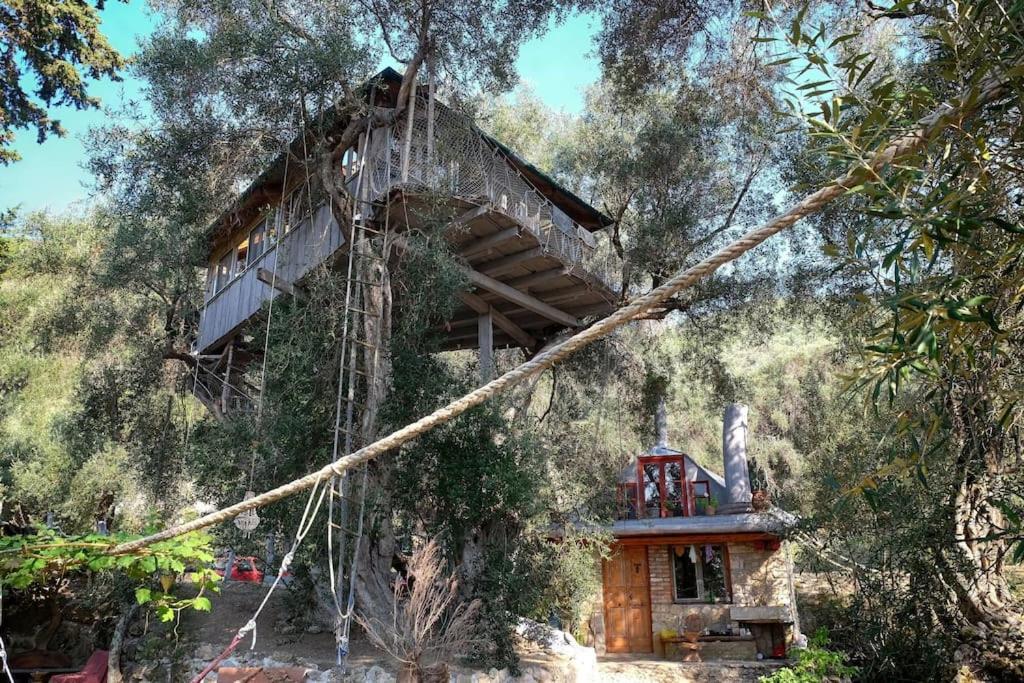 Paramonas  Margaritis'S Treehouseヴィラ エクステリア 写真