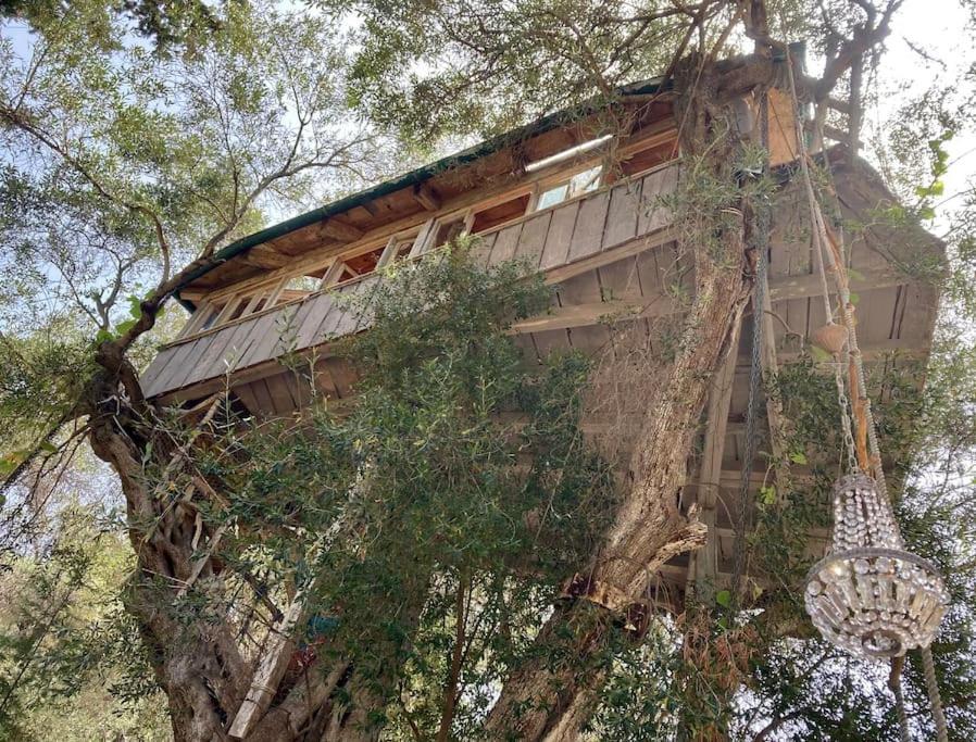 Paramonas  Margaritis'S Treehouseヴィラ エクステリア 写真