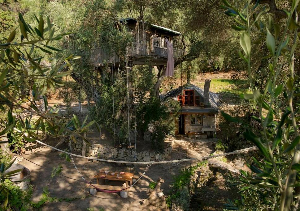 Paramonas  Margaritis'S Treehouseヴィラ エクステリア 写真
