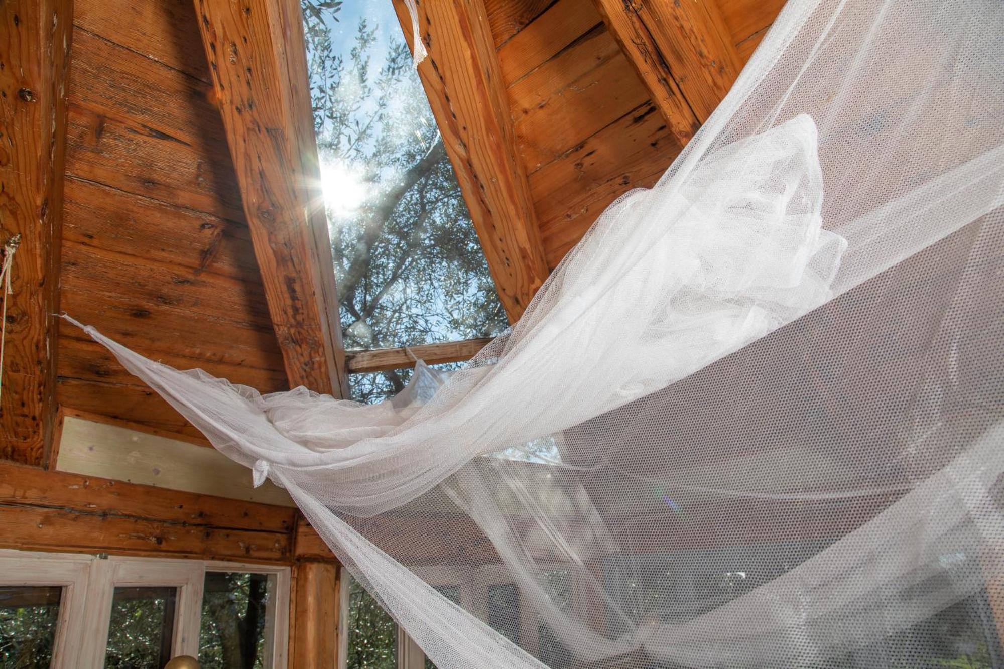 Paramonas  Margaritis'S Treehouseヴィラ エクステリア 写真